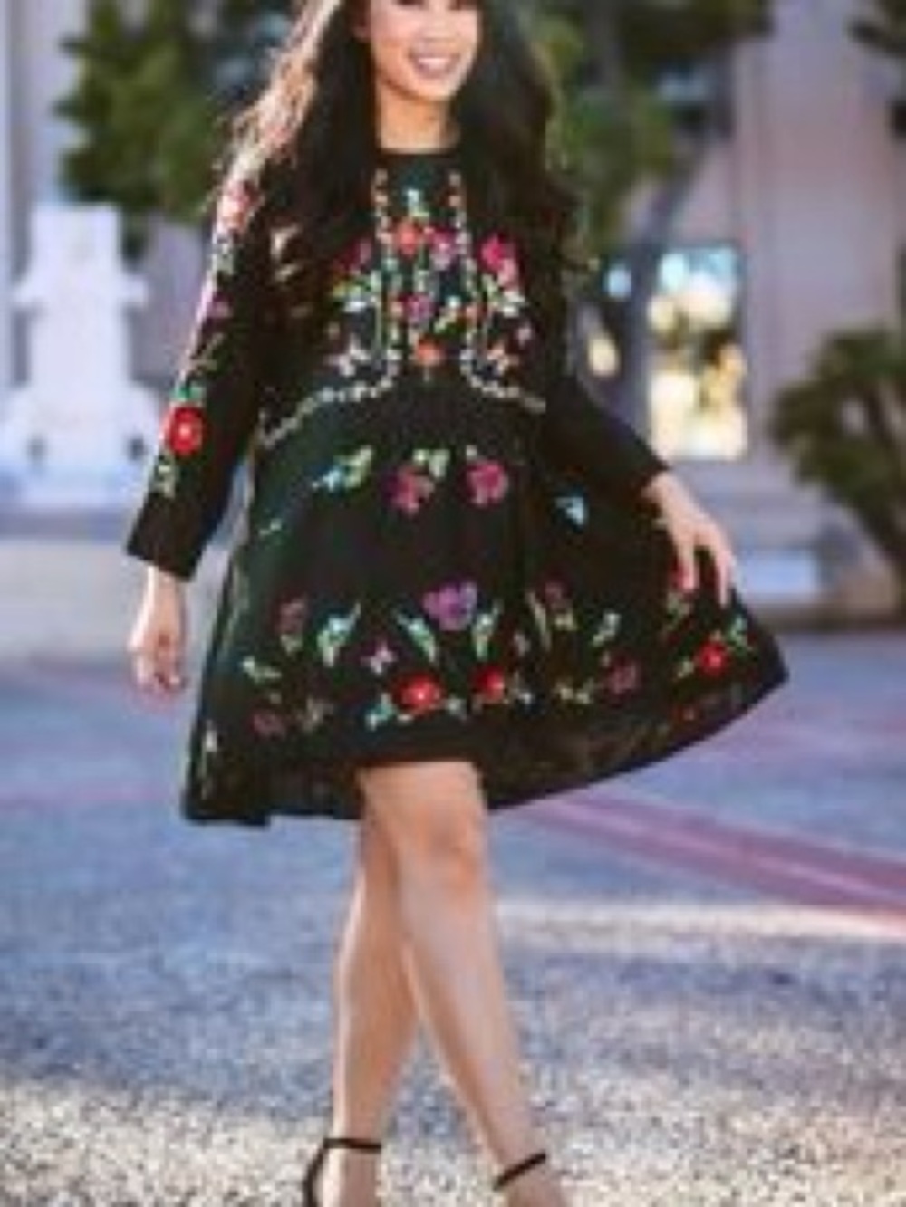 Zara Black Long Sleeve Embroidered Floral Dress